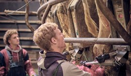 Is 3 times a day milking for you?